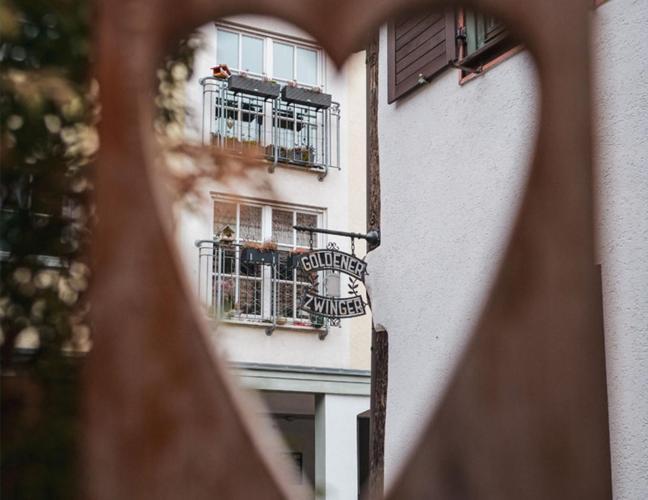 Pension Goldener Zwinger Meiningen Esterno foto